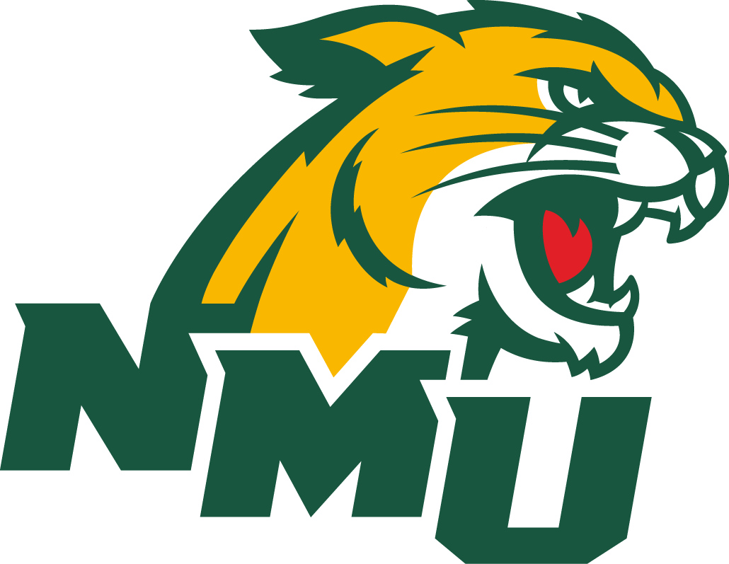 Northern Michigan Wildcats 2016-Pres Secondary Logo v2 diy iron on heat transfer